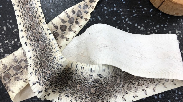 rattlesnakeskin