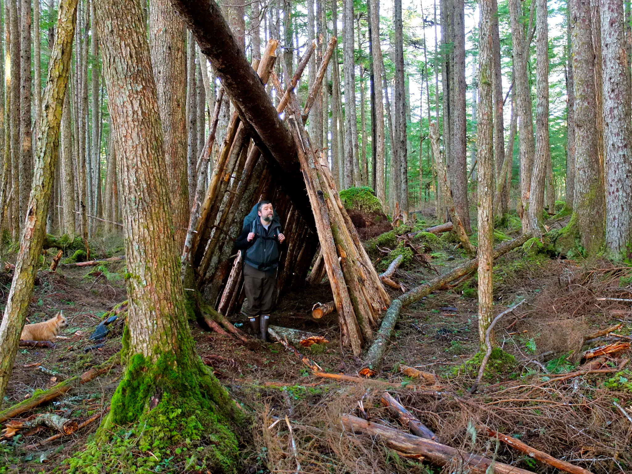 How to Build an Emergency Survival Shelter
