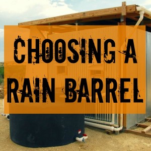 rainbarrel1