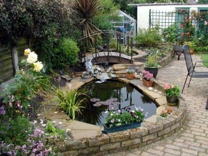 Garden-Pond