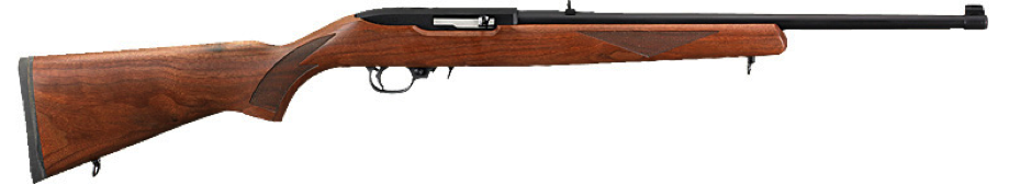 Ruger1022