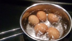 Boiling_Eggs (1)